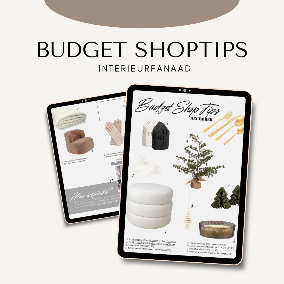 Budget Shoptips December